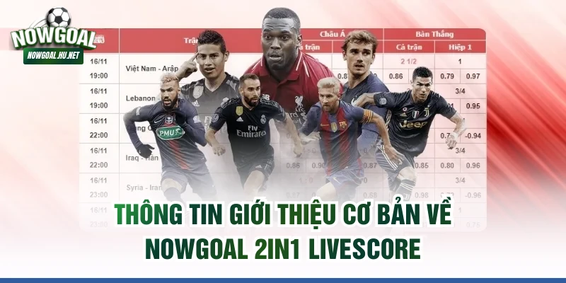 Thông tin giới thiệu cơ bản về Nowgoal 2in1 Livescore